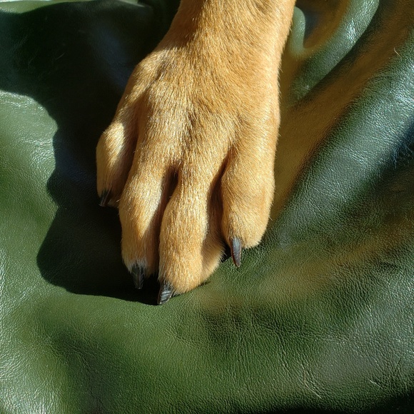 Check out my 3/20 - Picture 8 of 8